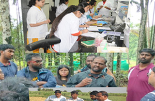 Training / Workshop