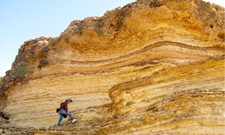Fossil Repository Image2