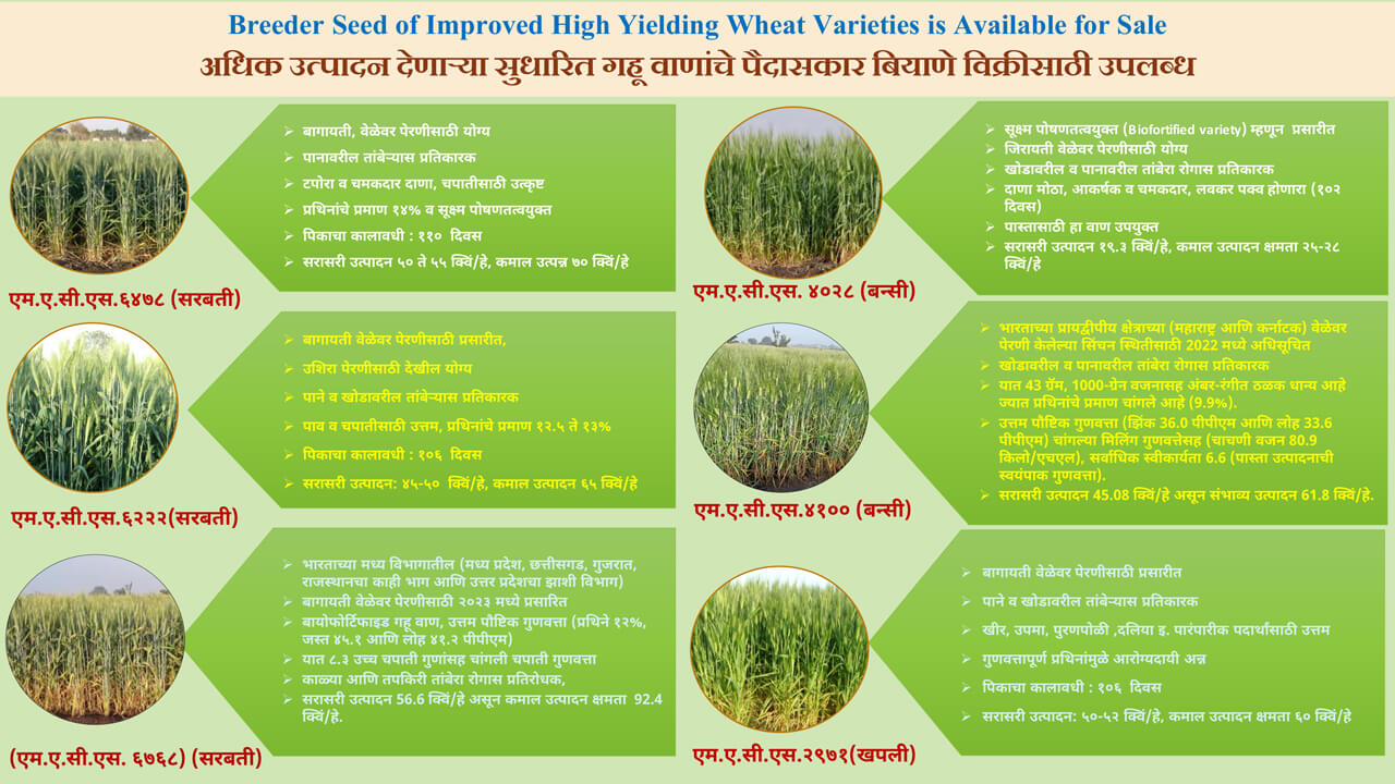 Breeder Seed Availability for Website 2024-25