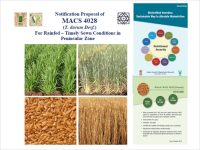 Notification Proposal of MACS 4028