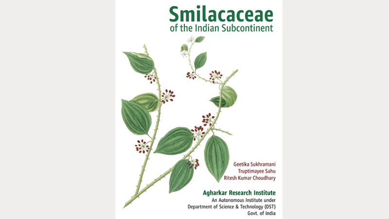 Smilacaceae of the Indian Subcontinent