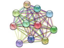 Bhupendra Shravage Research Image7