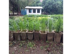 Dr. Monali Rahalkar Research Image2