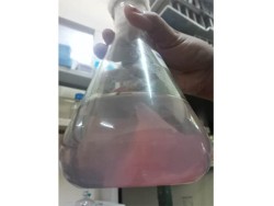 Dr. Monali Rahalkar Research Image6