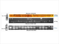 Dr. Manoj Oak Research Image8