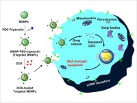 Dr. Virendra Gajbhiye Research Image3
