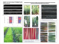 Interogession of PL2 and PL5